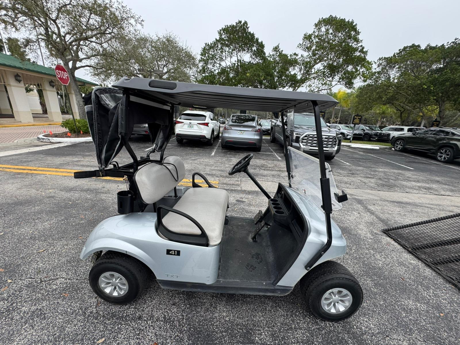 Electric 2 Passenger Golf Car for Rental in Florida