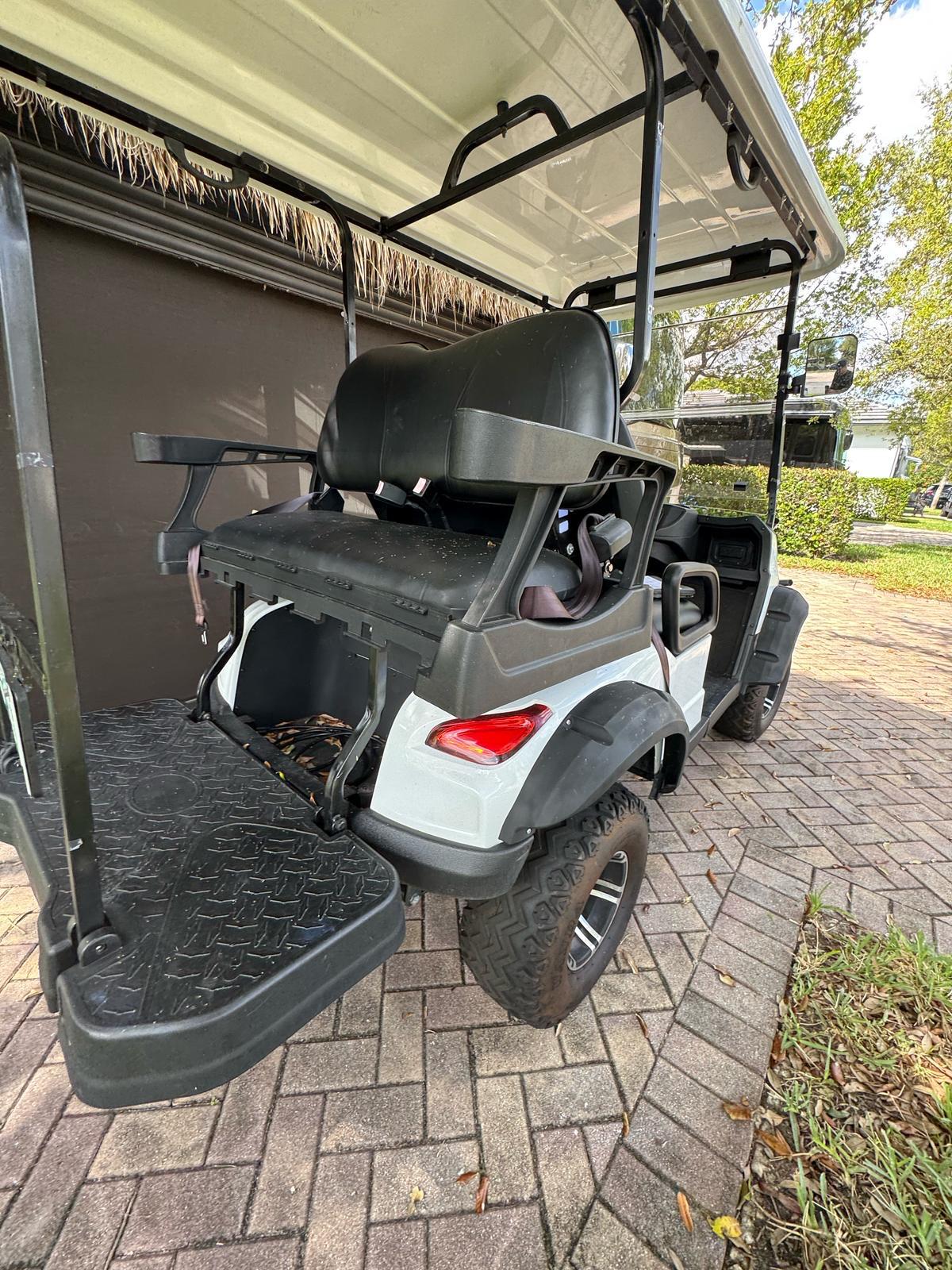 Electric Golf Car Rental | 4-Passenger Street-Legal Vehicle in Florida - Image 2