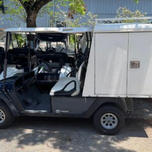 Electric Utility Golf Car Enclosed Cargo Model for Rental
