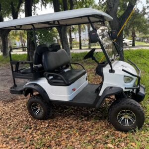 Exclusive Phoenix Electric Golf Car 4 Passenger Rental Florida