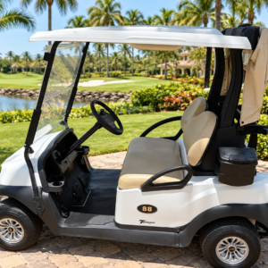 Club Car Electric Golf Car Rental | 2-Passenger Model in Florida