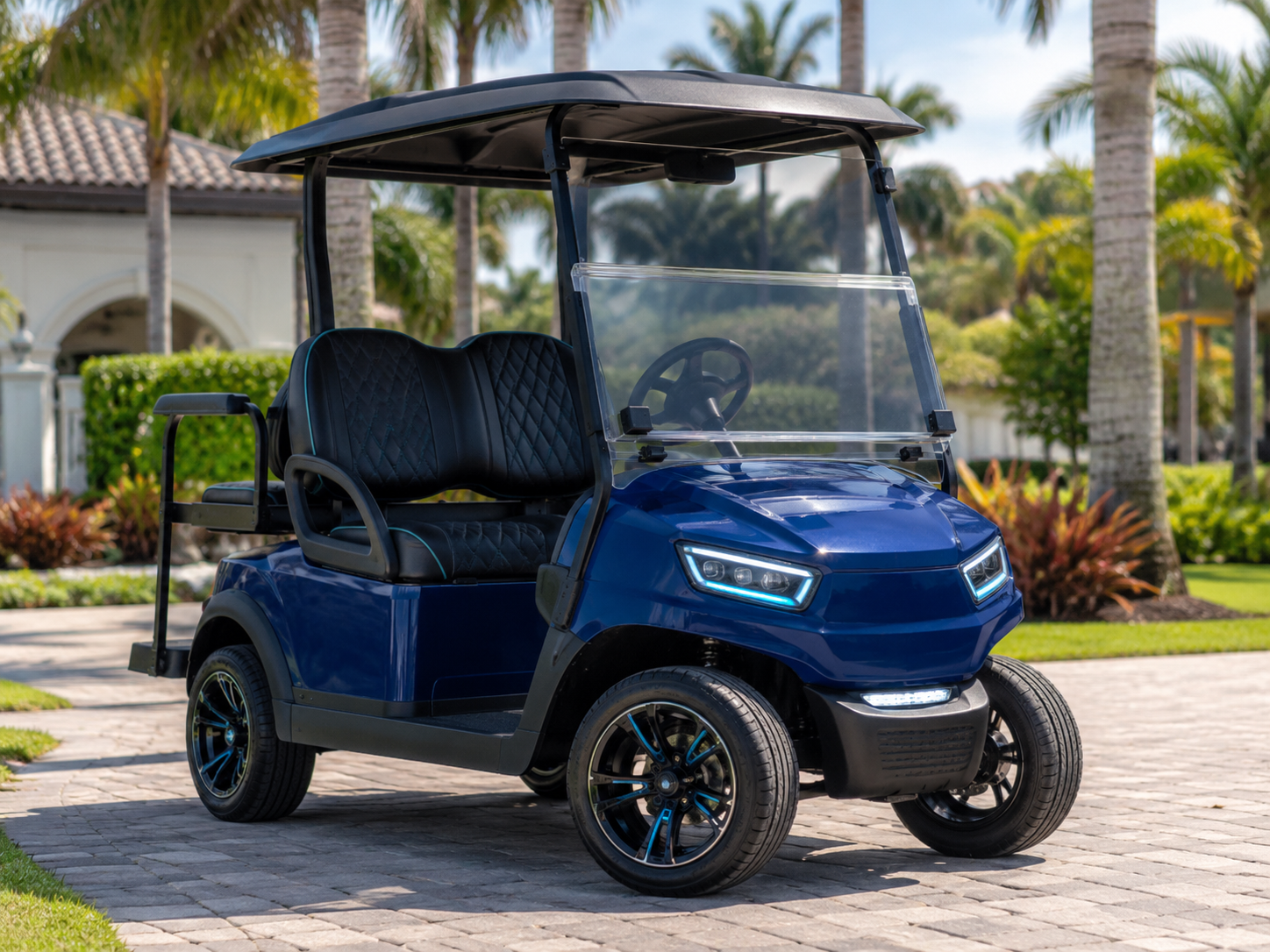 Premium 2-seater golf car