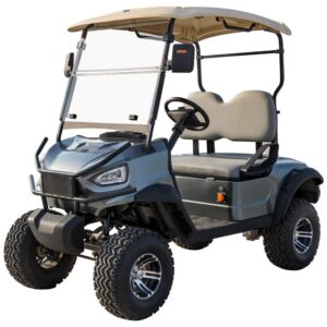 Exclusive Golf Cart Phoenix 2 Passenger Gray Color for Sale