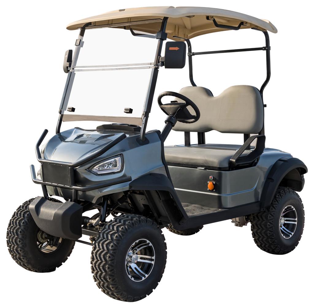 Exclusive Golf Cart Phoenix 2 Passenger Gray Color for Sale