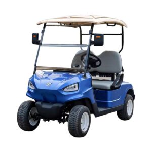 Exclusive Golf Cart Phoenix 2 Passenger Blue Color for Sale
