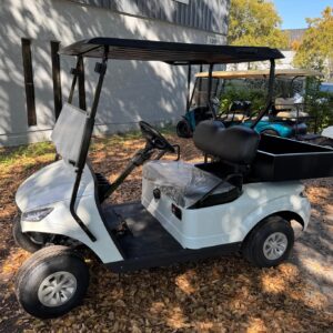 Exclusive Phoenix Electric Utility Golf Car for Sale | Brand New Work & Transport Vehicle